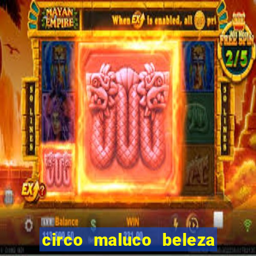 circo maluco beleza recife circo maluco